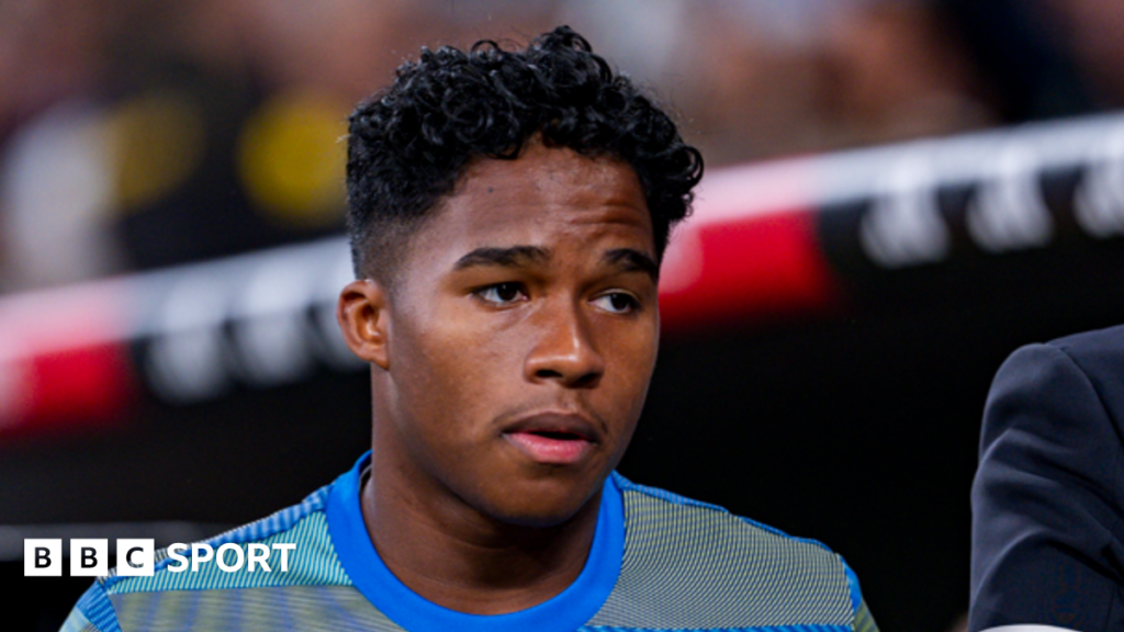 Real Madrid forward Endrick agrees Lyon loan switch Real Madrid forward Endrick agrees Lyon loan switch